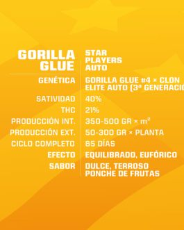 Gorilla Glue Auto x12