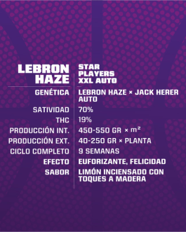 Lebron Haze XXL Auto x12
