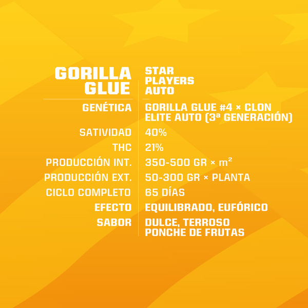 Gorilla Glue Auto x12 - Imagen 2