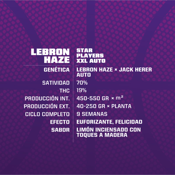 Lebron Haze XXL Auto x7 - Imagen 2