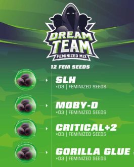 Dream Team Feminized Mix x12