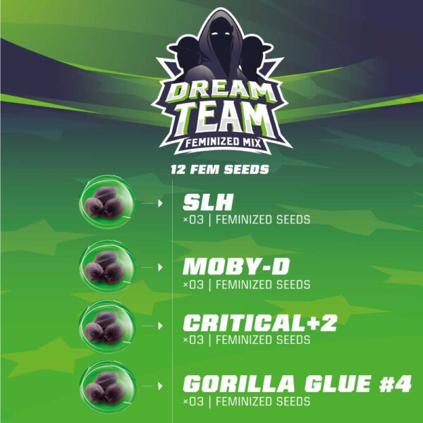 Dream Team Feminized Mix x12 - Imagen 2