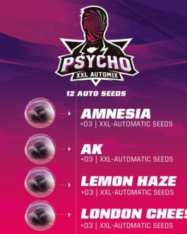 Psycho XXL Automix x12
