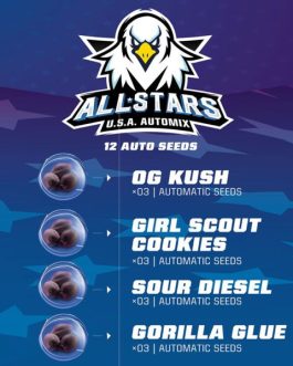 All Star Automix x12