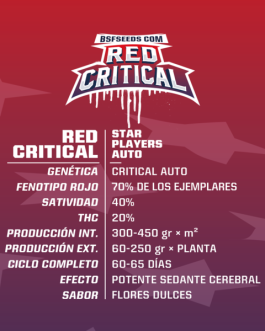 Red Critical Auto x4