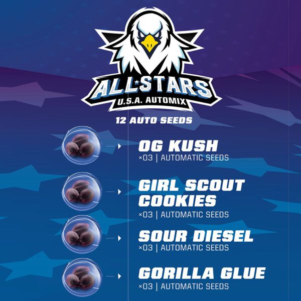 All Star Automix x12 - Imagen 2