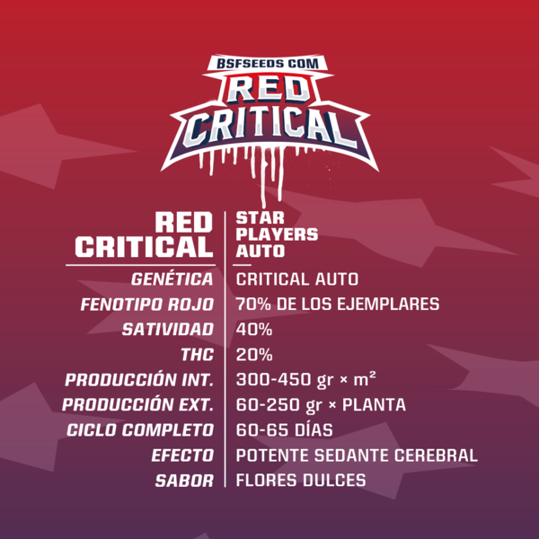 Red Critical Auto x2 - Imagen 2