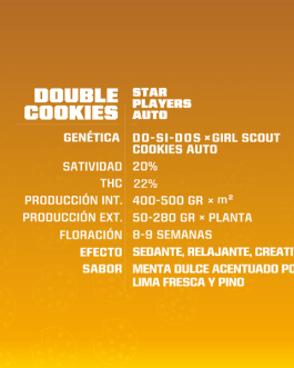 Double Cookies Auto x4