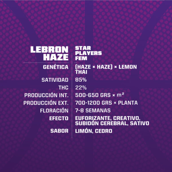 Lebron Haze Fem x2 - BSF SEEDS - Imagen 2