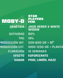 Moby D Fem x4 – BSF SEEDS