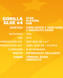 Gorilla Glue #4 Fem x4 – BSF SEEDS