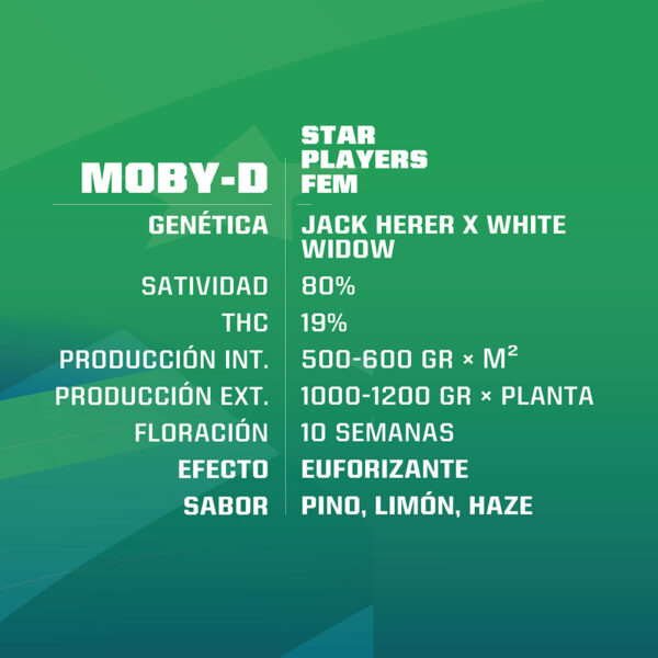 Moby D Fem x4 - BSF SEEDS - Imagen 2