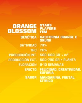 Orange Blossom Fem x4 – BSF SEEDS