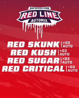Red Line Automix x12