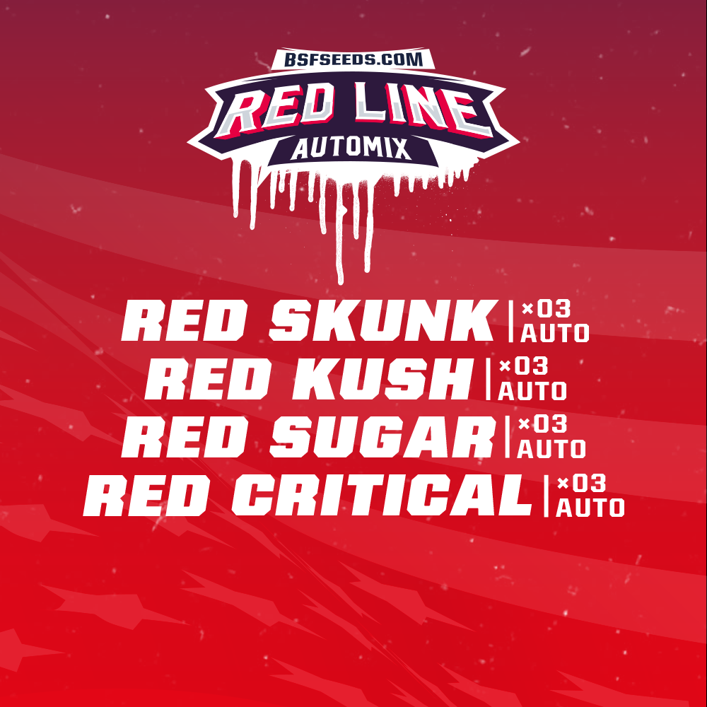 Red Line Automix x12 - Imagen 2