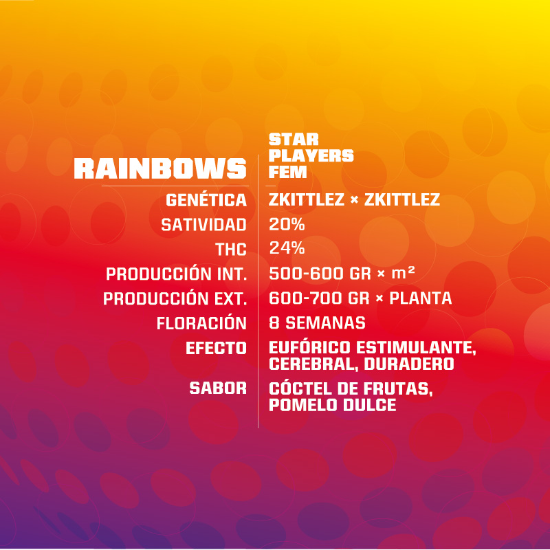 Rainbows Fem x2 - BSF SEEDS - Imagen 2
