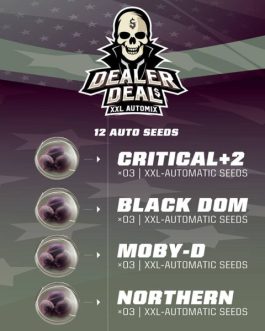 Dealer Deal XXL Automix x12
