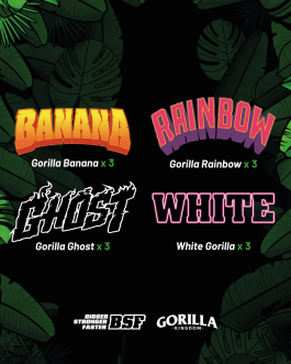 Gorilla Familia Feminized Mix x12