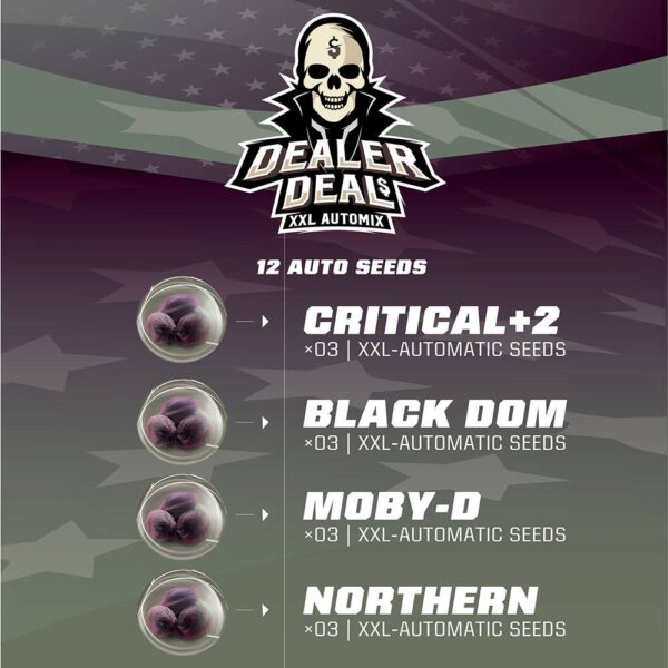 Dealer Deal XXL Automix x12 - Imagen 2