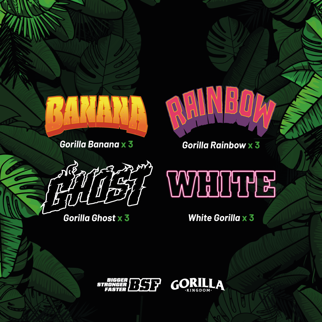Gorilla Familia Feminized Mix x12 - Imagen 2