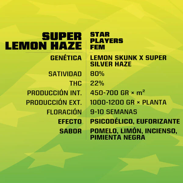 Super Lemon Haze Fem x4 - BSF SEEDS - Imagen 2