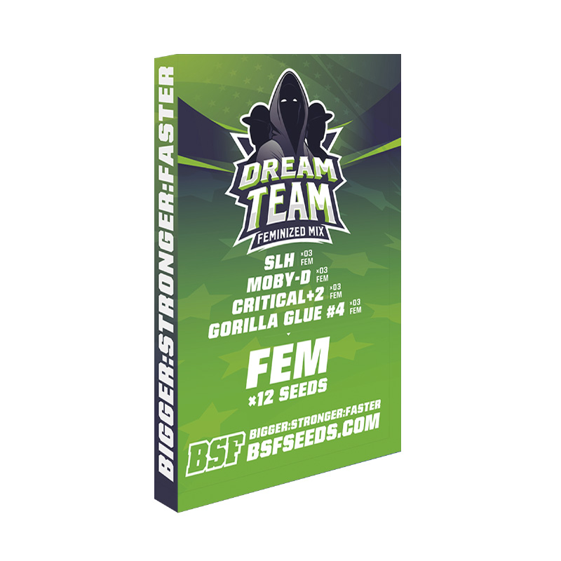 Dream Team Feminized Mix x12 - Imagen 3