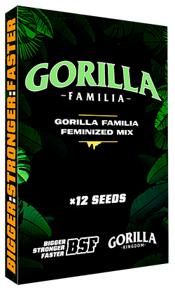 Gorilla Familia Feminized Mix x12 - Imagen 3