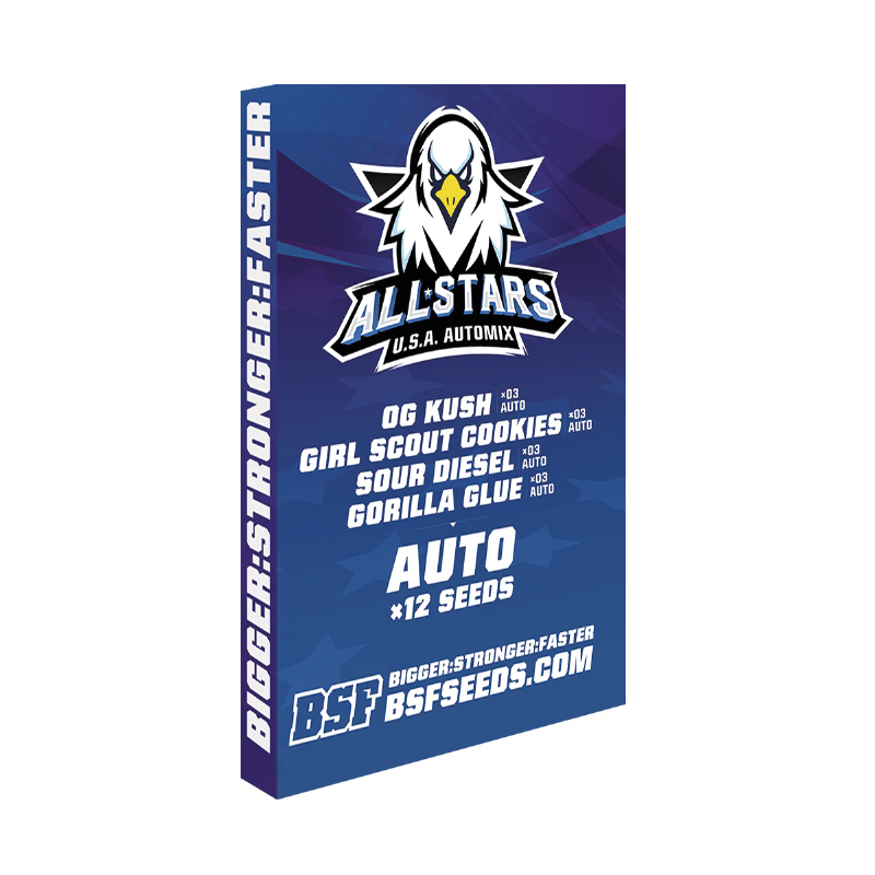 All Star Automix x12 - Imagen 3