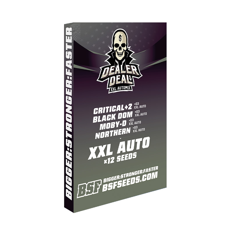 Dealer Deal XXL Automix x12 - Imagen 3