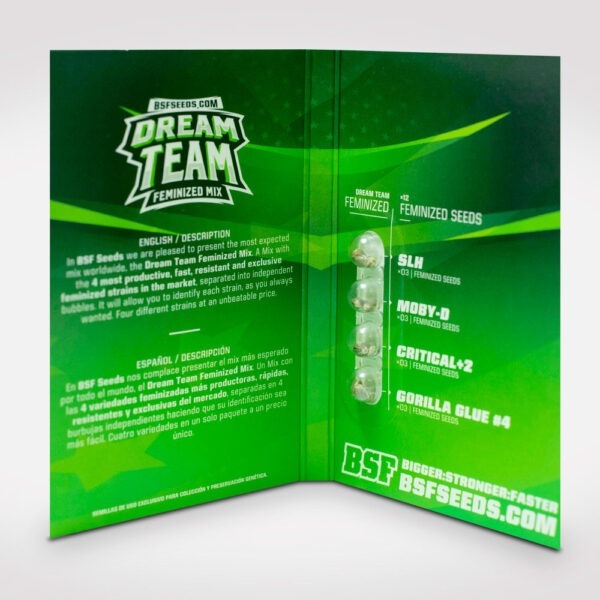 Dream Team Feminized Mix x12 - Imagen 5