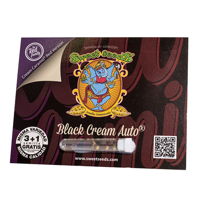 Black Cream Auto 3+1