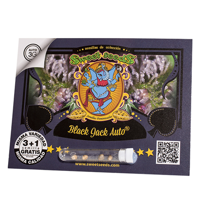 Black Jack Auto 3+1
