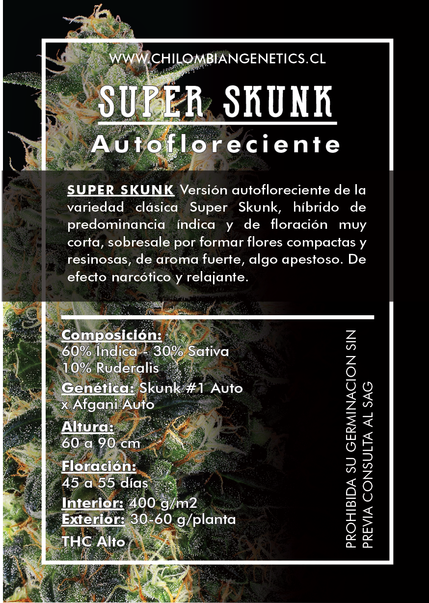 Super Skunk Automática x3 - Chilombian Genetics