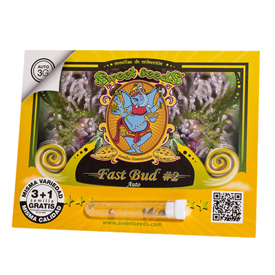 Fast Bud #2 Auto 3+1