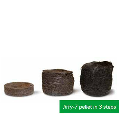 Jiffy-7 de turba (41mm) - Imagen 2