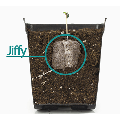 Jiffy-7 de turba (41mm) - Imagen 3
