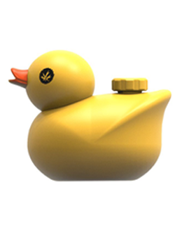Bong Pato KWAK – PMG