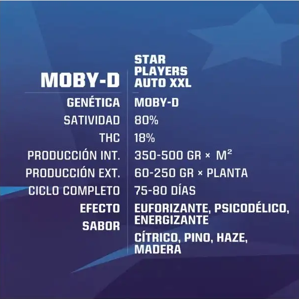 Moby D XXL Auto x2 - Imagen 2