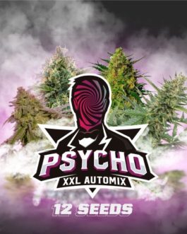 Psycho XXL Automix x12