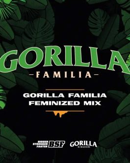 Gorilla Familia Feminized Mix x12