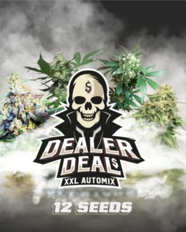 Dealer Deal XXL Automix x12