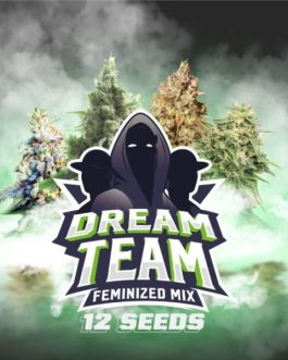 Dream Team Feminized Mix x12