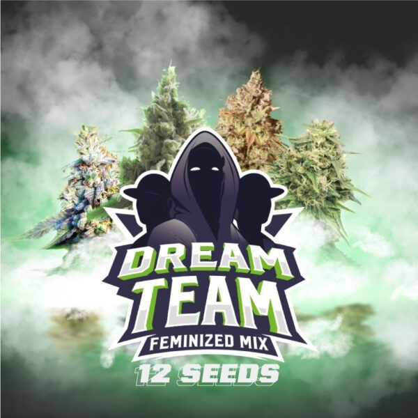Dream Team Feminized Mix x12