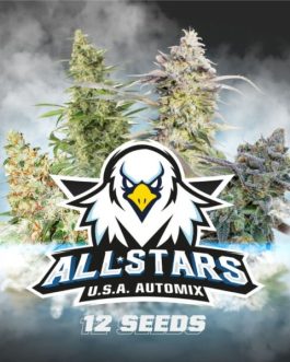 All Star Automix x12