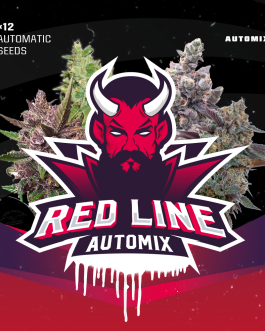 Red Line Automix x12