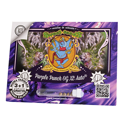 Purple Punch Og XL Auto 3+1