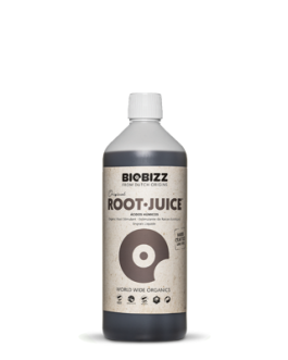 Root·Juice 250 ML