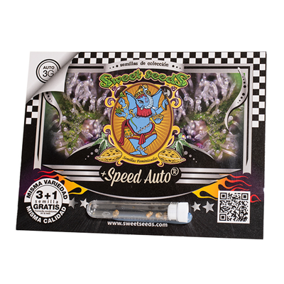 + Speed Auto 3+1