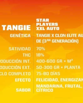 Tangie XXL Auto x12