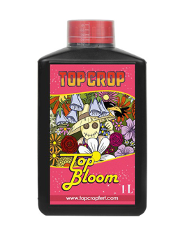 Top Bloom
